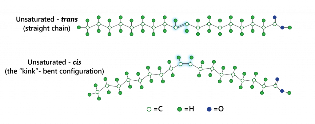 trans fatty acid diagram